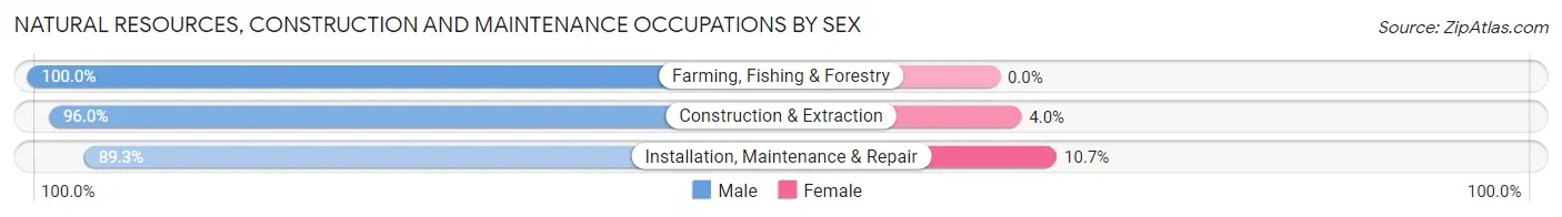 Natural Resources, Construction and Maintenance Occupations by Sex in Zip Code 60123