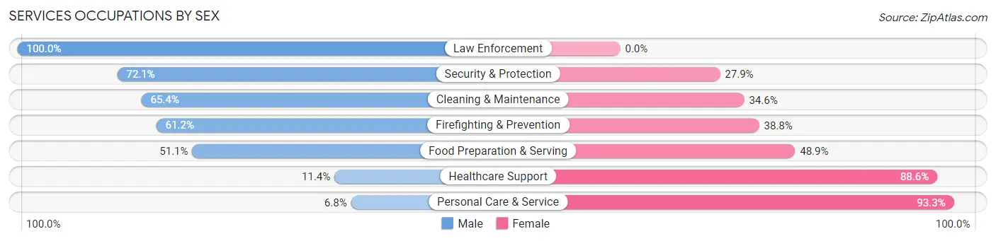 Services Occupations by Sex in Zip Code 60123