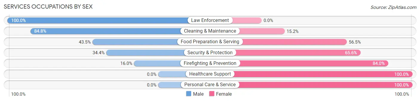 Services Occupations by Sex in Zip Code 60155