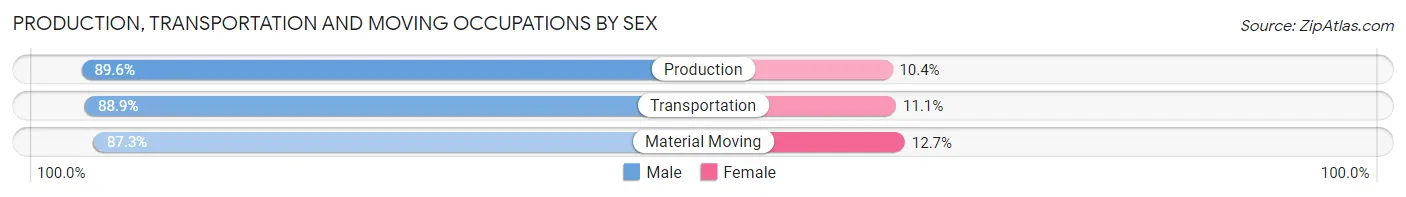 Production, Transportation and Moving Occupations by Sex in Zip Code 60404