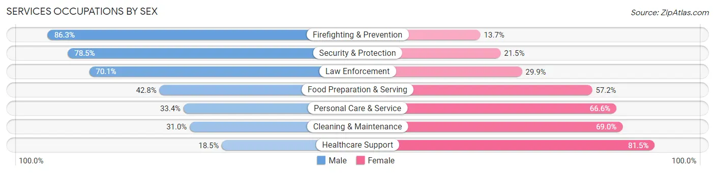 Services Occupations by Sex in Zip Code 60453