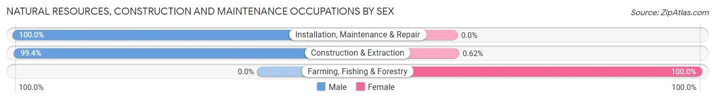 Natural Resources, Construction and Maintenance Occupations by Sex in Zip Code 60491