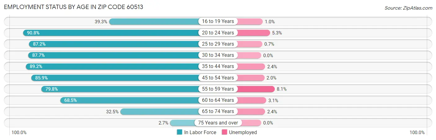 Employment Status by Age in Zip Code 60513