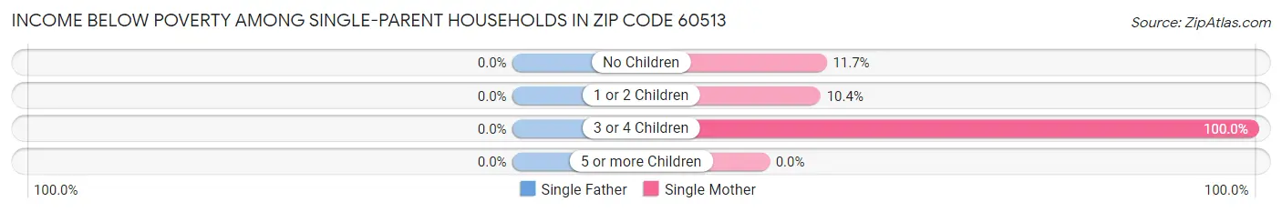 Income Below Poverty Among Single-Parent Households in Zip Code 60513