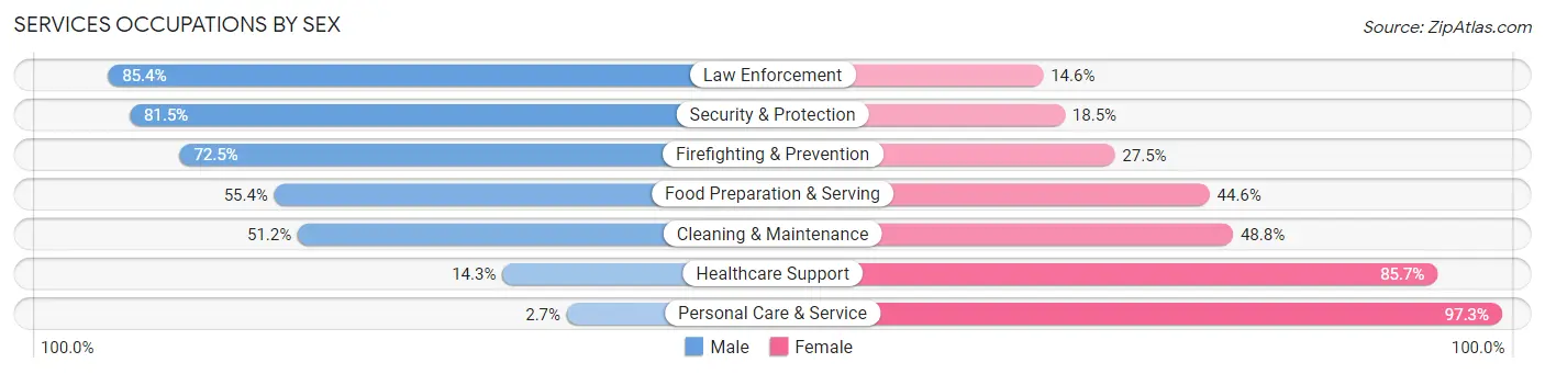 Services Occupations by Sex in Zip Code 60513