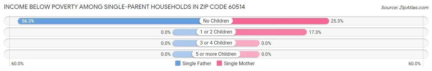 Income Below Poverty Among Single-Parent Households in Zip Code 60514