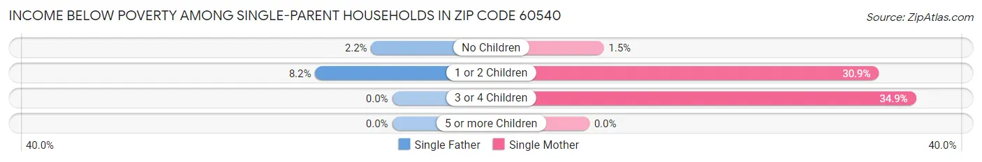 Income Below Poverty Among Single-Parent Households in Zip Code 60540
