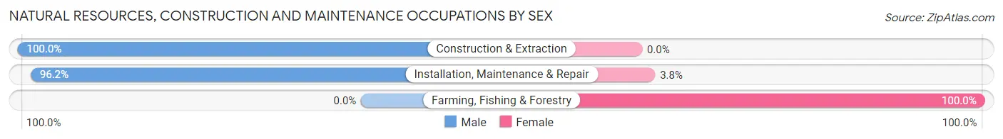 Natural Resources, Construction and Maintenance Occupations by Sex in Zip Code 60544