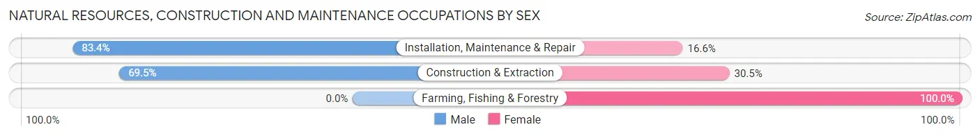 Natural Resources, Construction and Maintenance Occupations by Sex in Zip Code 60610