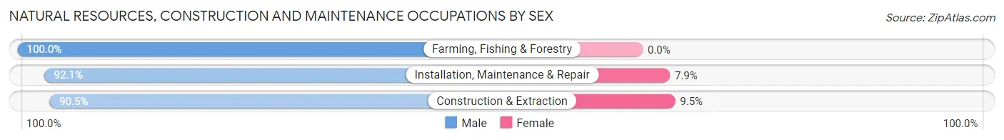 Natural Resources, Construction and Maintenance Occupations by Sex in Zip Code 60619