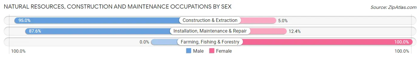 Natural Resources, Construction and Maintenance Occupations by Sex in Zip Code 60657