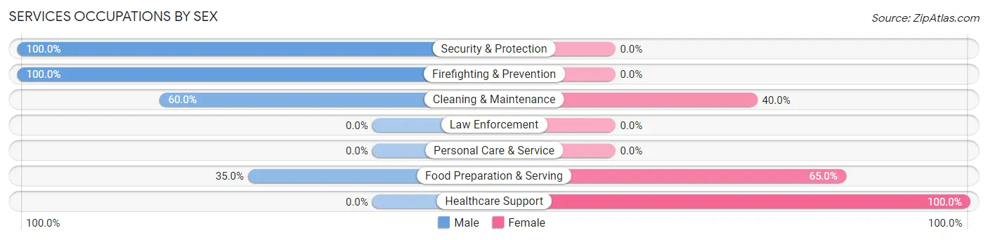 Services Occupations by Sex in Zip Code 61013