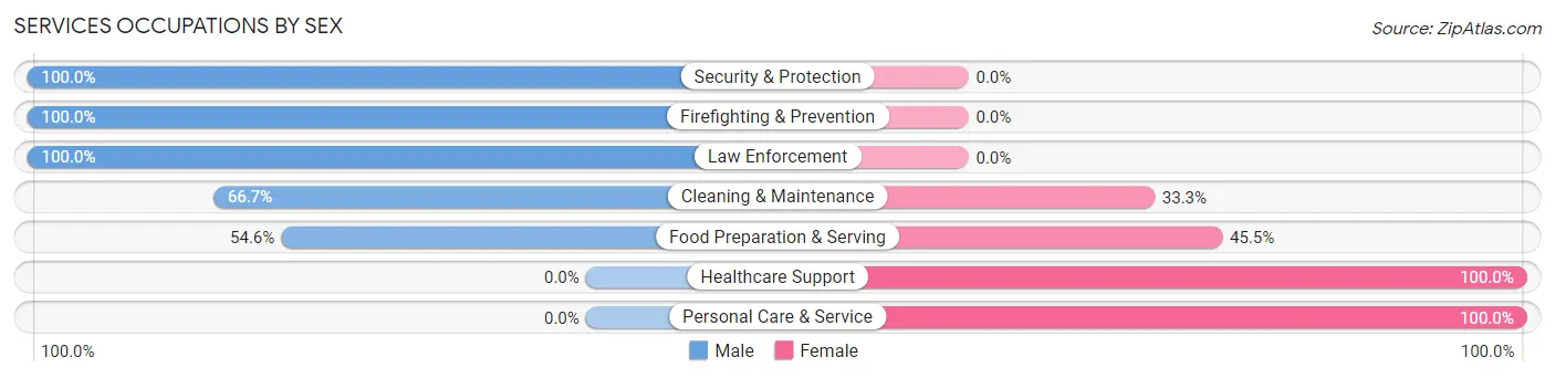 Services Occupations by Sex in Zip Code 61367