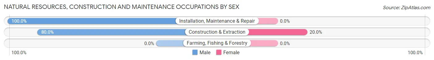 Natural Resources, Construction and Maintenance Occupations by Sex in Zip Code 61852