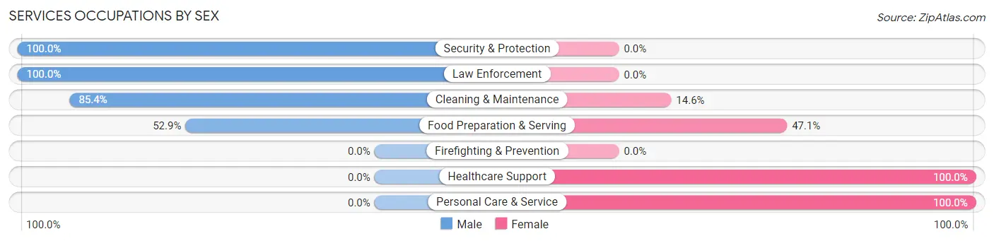 Services Occupations by Sex in Zip Code 62061
