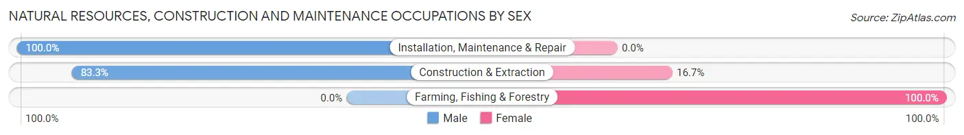 Natural Resources, Construction and Maintenance Occupations by Sex in Zip Code 62324