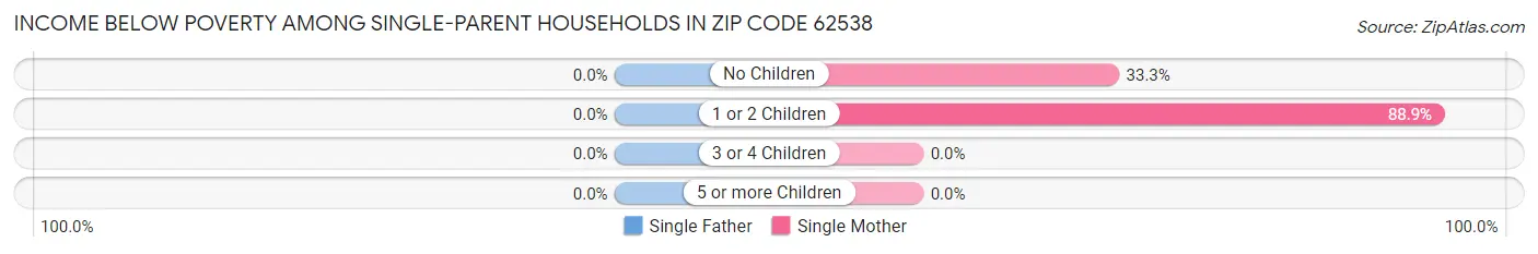 Income Below Poverty Among Single-Parent Households in Zip Code 62538