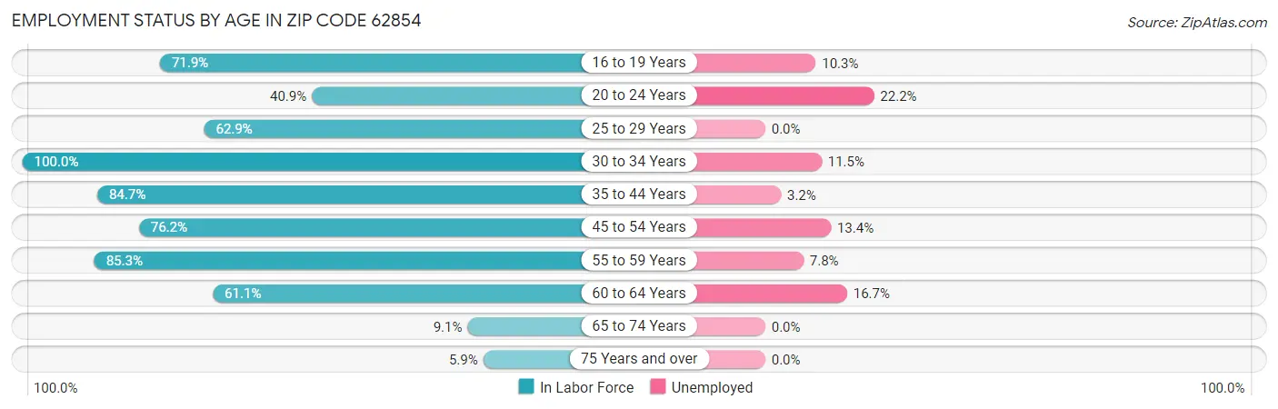 Employment Status by Age in Zip Code 62854