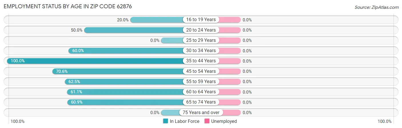 Employment Status by Age in Zip Code 62876