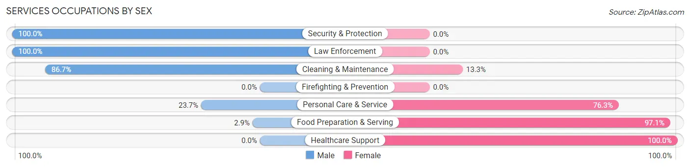 Services Occupations by Sex in Zip Code 62938