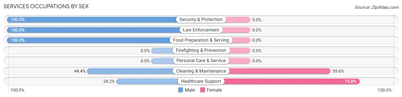 Services Occupations by Sex in Zip Code 62942