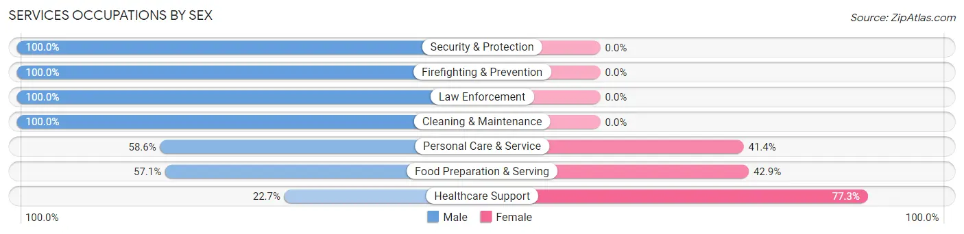 Services Occupations by Sex in Zip Code 62987