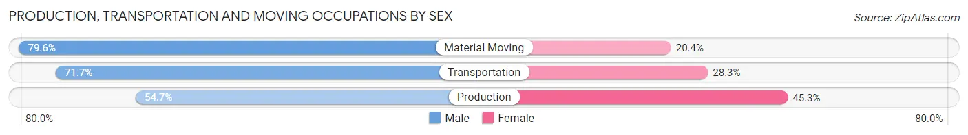 Production, Transportation and Moving Occupations by Sex in Zip Code 63020