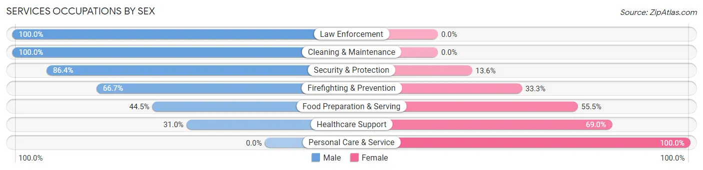 Services Occupations by Sex in Zip Code 63040