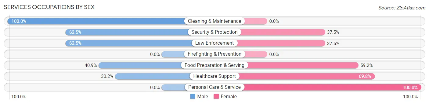 Services Occupations by Sex in Zip Code 63048