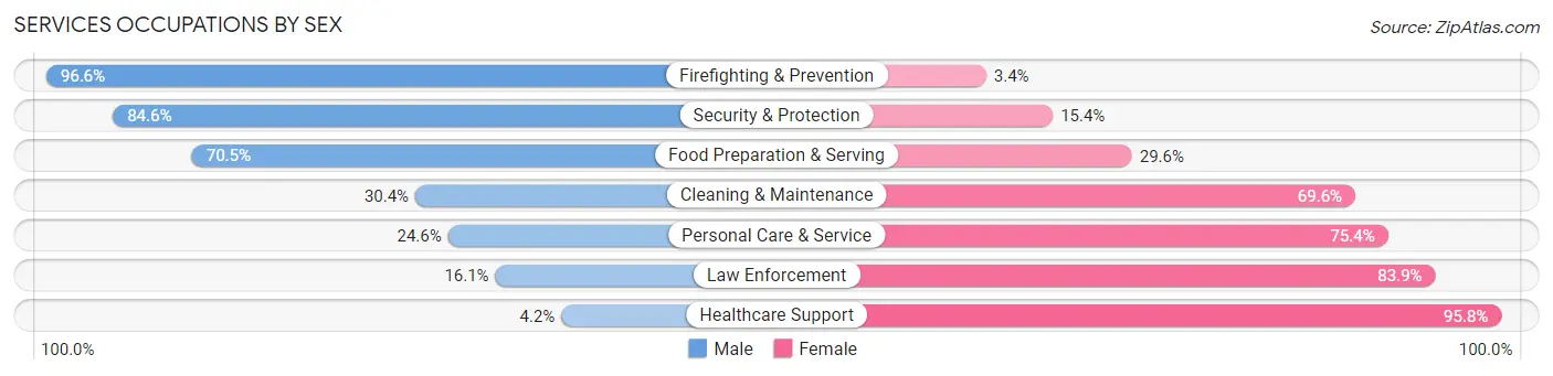 Services Occupations by Sex in Zip Code 63104