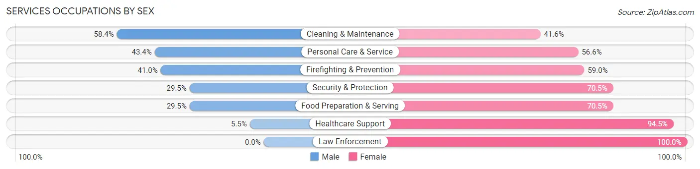 Services Occupations by Sex in Zip Code 63110