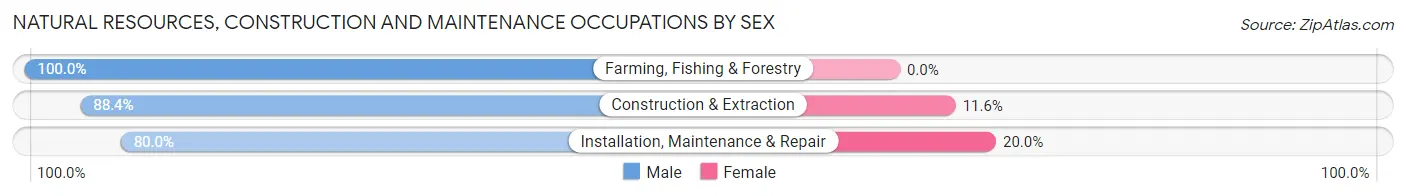 Natural Resources, Construction and Maintenance Occupations by Sex in Zip Code 63118