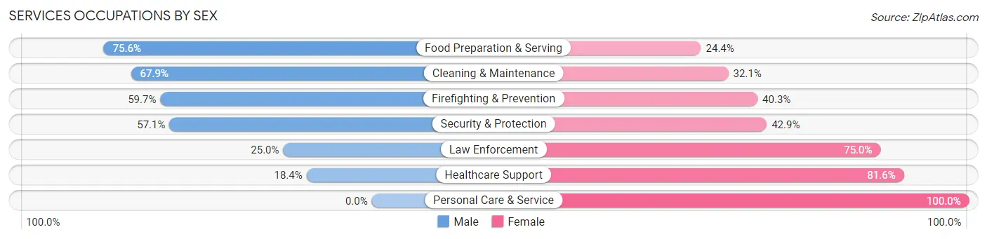 Services Occupations by Sex in Zip Code 63135