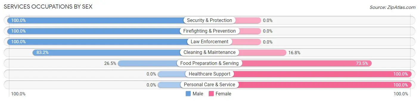 Services Occupations by Sex in Zip Code 63144