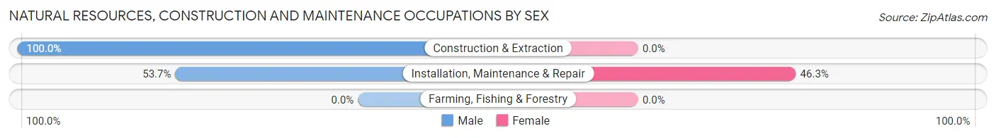 Natural Resources, Construction and Maintenance Occupations by Sex in Zip Code 63147