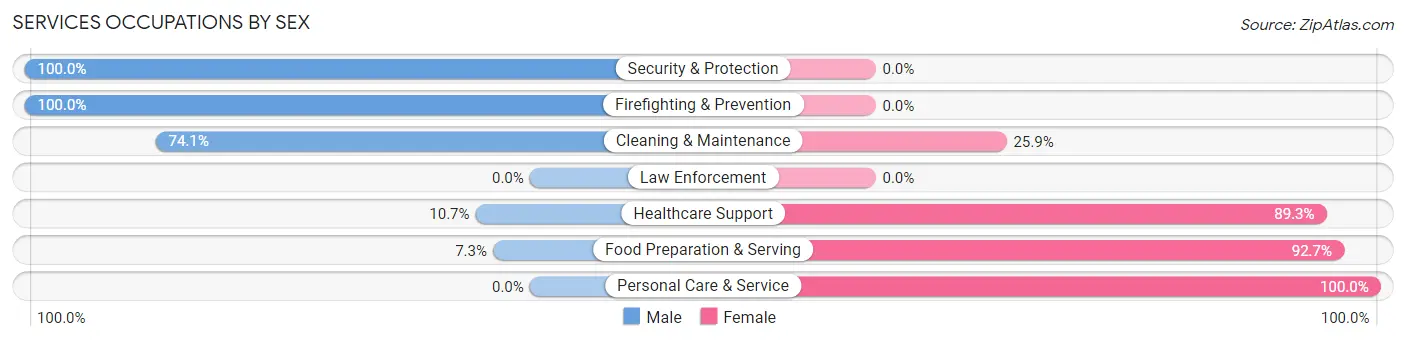 Services Occupations by Sex in Zip Code 63343
