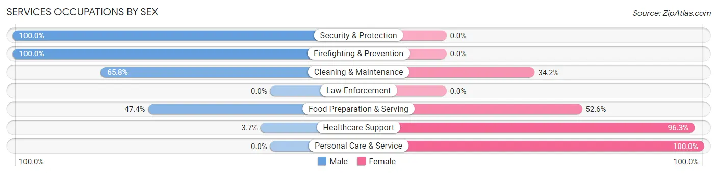 Services Occupations by Sex in Zip Code 63347