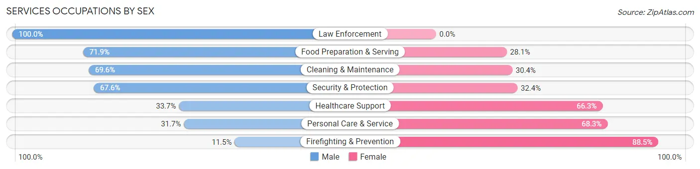 Services Occupations by Sex in Zip Code 63501