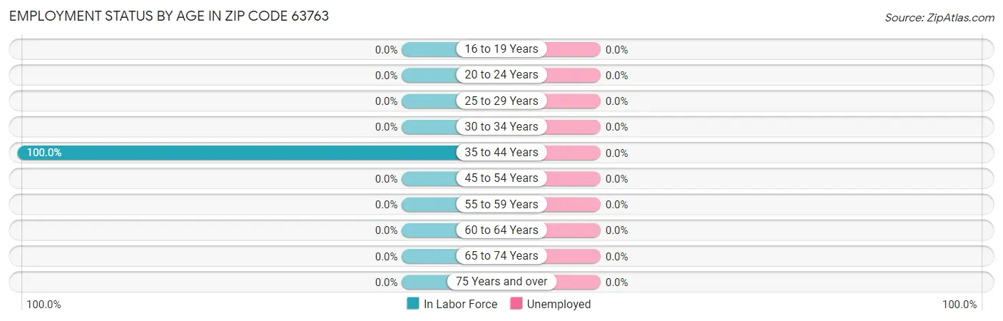 Employment Status by Age in Zip Code 63763