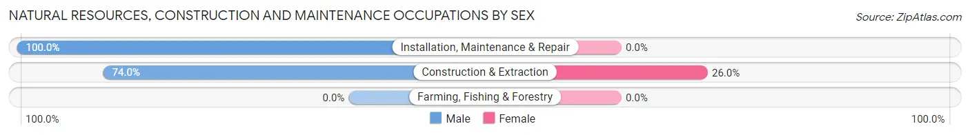 Natural Resources, Construction and Maintenance Occupations by Sex in Zip Code 63769