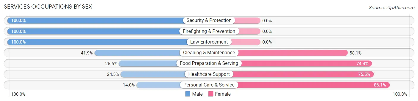 Services Occupations by Sex in Zip Code 63780