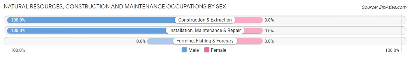 Natural Resources, Construction and Maintenance Occupations by Sex in Zip Code 63840