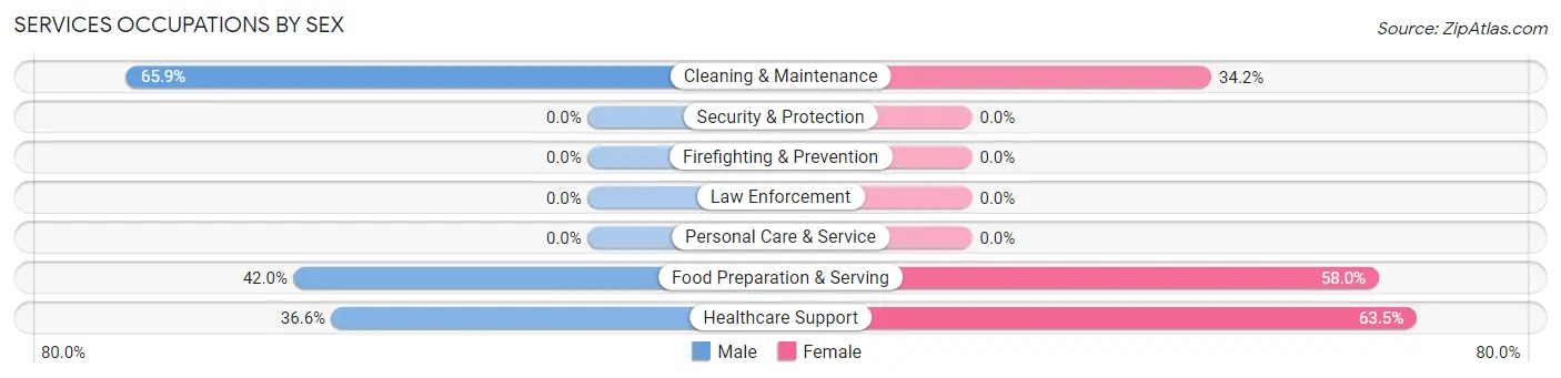 Services Occupations by Sex in Zip Code 63845