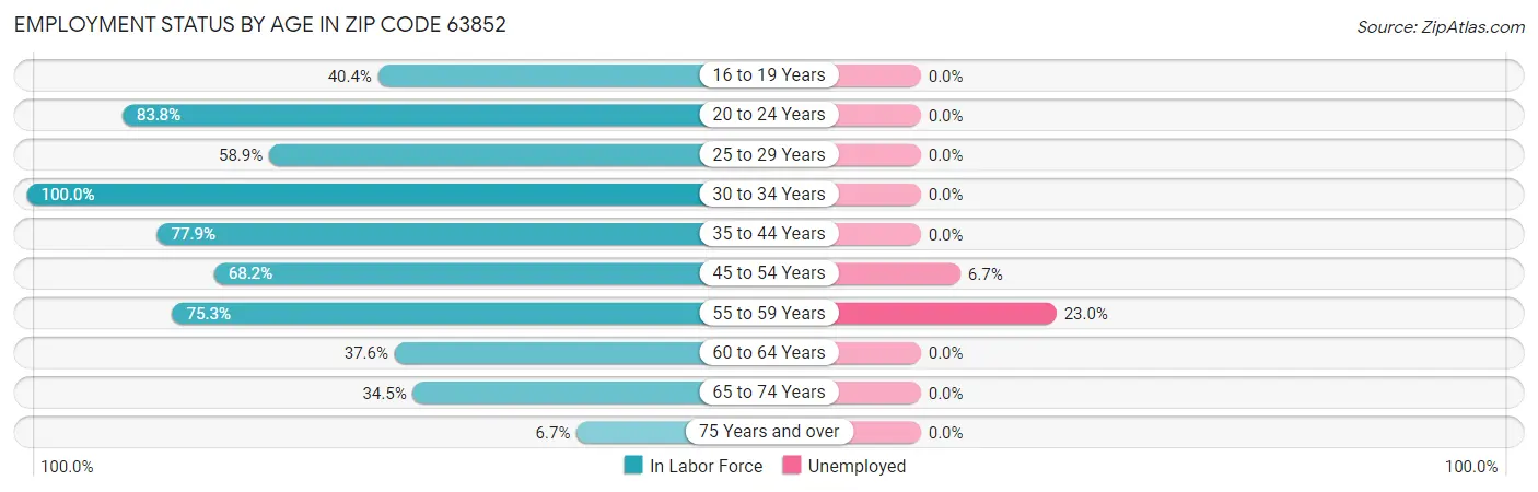 Employment Status by Age in Zip Code 63852