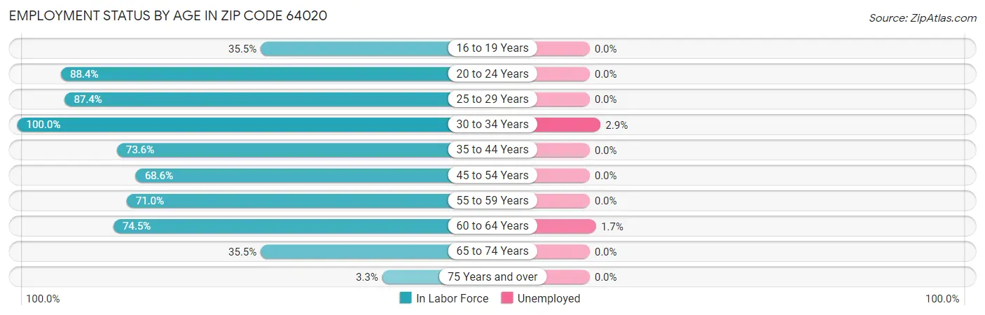 Employment Status by Age in Zip Code 64020
