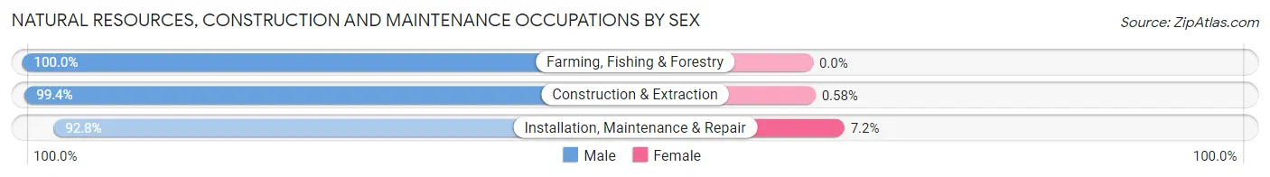 Natural Resources, Construction and Maintenance Occupations by Sex in Zip Code 64130