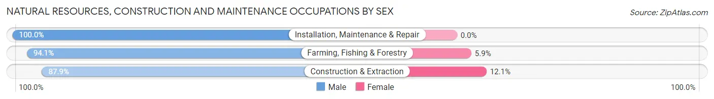 Natural Resources, Construction and Maintenance Occupations by Sex in Zip Code 64429