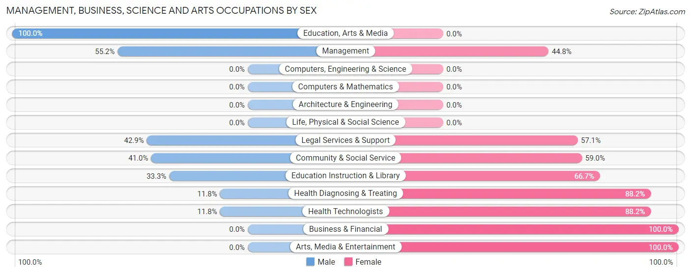 Management, Business, Science and Arts Occupations by Sex in Zip Code 64763