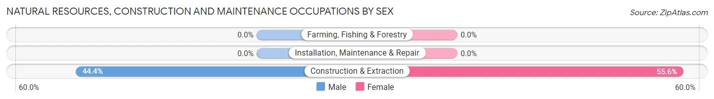 Natural Resources, Construction and Maintenance Occupations by Sex in Zip Code 64874