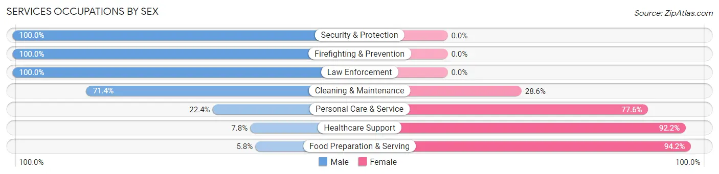 Services Occupations by Sex in Zip Code 65010